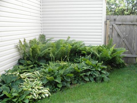 1944 Diamondback Dr, Powell, OH 43065 photo 25