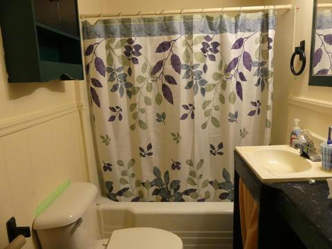 203 E Winter St, Delaware, OH 43015 photo 6