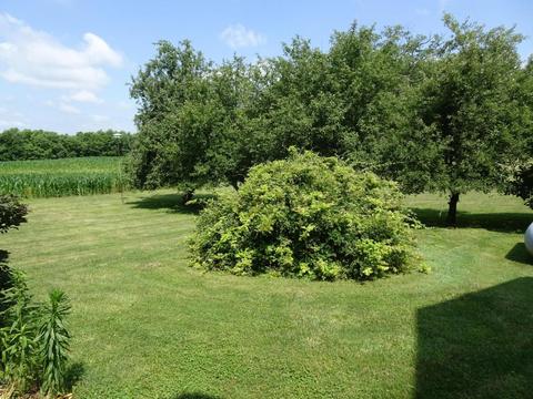 18951 Island Rd, Circleville, OH 43113 photo 27