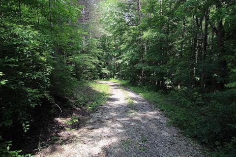 9976 Larimer Rd, Logan, OH 43138 photo 13