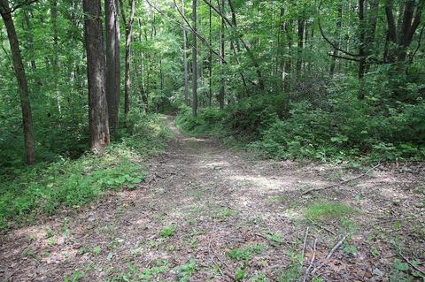 9976 Larimer Rd, Logan, OH 43138 photo 18