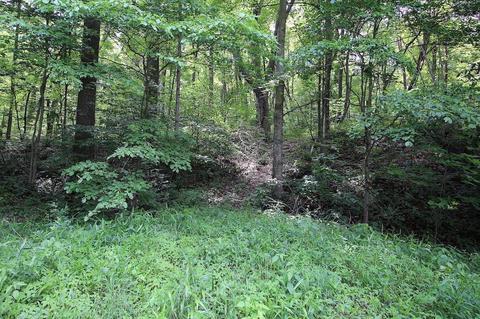 9976 Larimer Rd, Logan, OH 43138 photo 22