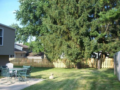 1785 Devilling Ct, Columbus, OH 43235 photo 30