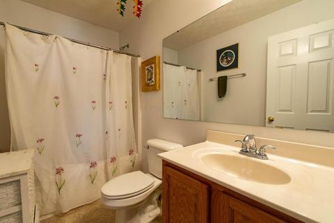 235 Heathermere Loop, Galena, OH 43021 photo 21