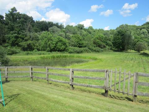 6771 Werner Rd, Fredericktown, OH 43019 photo 20