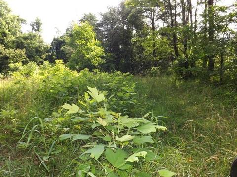 18550 Griffith Rd, Logan, OH 43138 photo 6