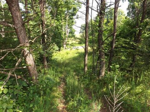 18550 Griffith Rd, Logan, OH 43138 photo 5