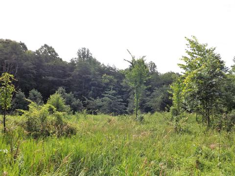 18550 Griffith Rd, Logan, OH 43138 photo 1