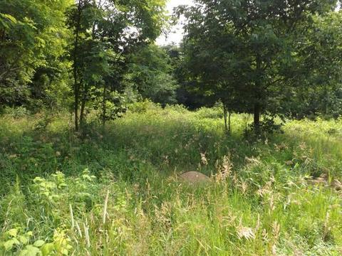 18550 Griffith Rd, Logan, OH 43138 photo 3
