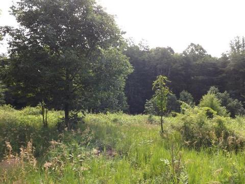 18550 Griffith Rd, Logan, OH 43138 photo 2