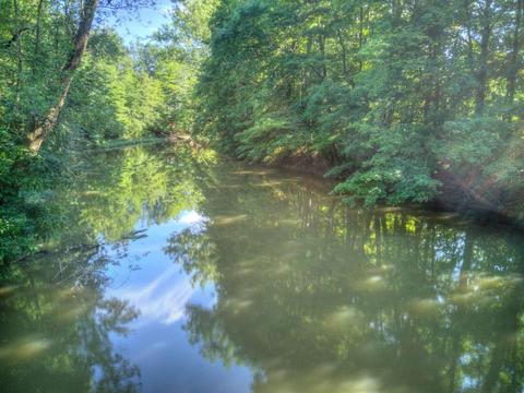 2667 E River Rd, Marion, OH 43302 photo 35