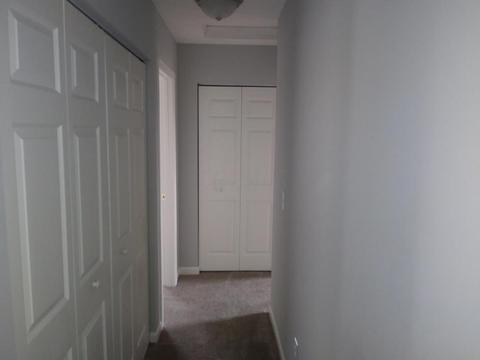 8809 Greylag Loop, Blacklick, OH 43004 photo 39
