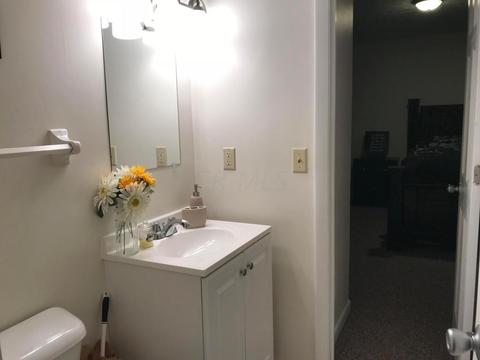 265 Lonepine Rd, Delaware, OH 43015 photo 21