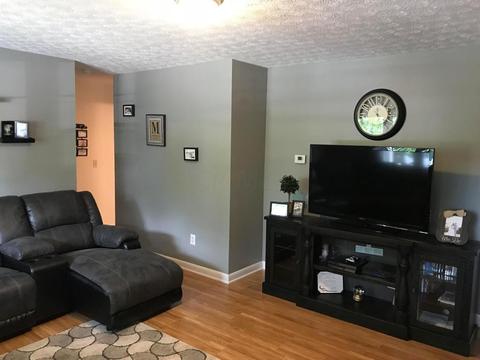 265 Lonepine Rd, Delaware, OH 43015 photo 11