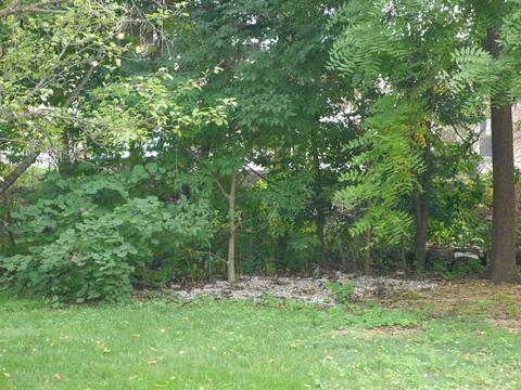 3211 Banting St, Dublin, OH 43017 photo 29