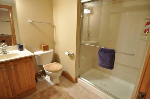 6427 Green Stone Loop, Dublin, OH 43016 photo 57