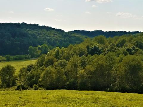 16459 Angle Rd, Logan, OH 43138 photo 26