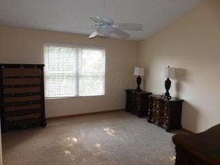 9146 Drum Pl, Orient, OH 43146 photo 15