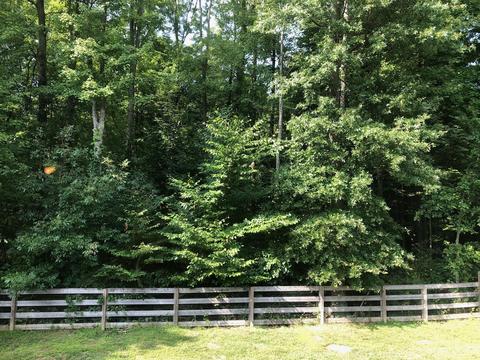 263 Haystack Ave, Pataskala, OH 43062 photo 4