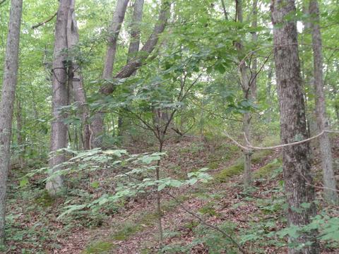 1642 Centerville Rd, Thurman, OH 45685 photo 21