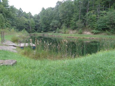 1642 Centerville Rd, Thurman, OH 45685 photo 20