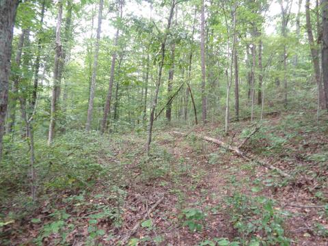 1642 Centerville Rd, Thurman, OH 45685 photo 26