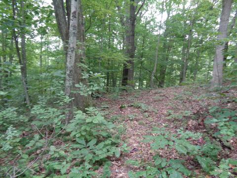 1642 Centerville Rd, Thurman, OH 45685 photo 25