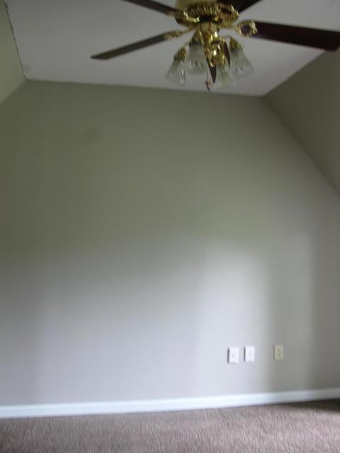 128 E Main St, Fulton, OH 43321 photo 30
