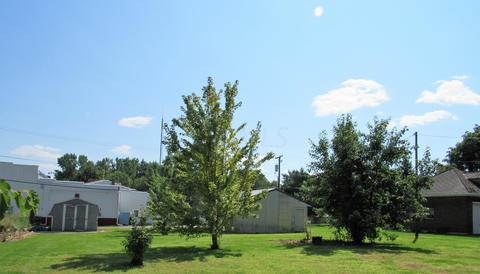 161 W Neff St, Morral, OH 43337 photo 29