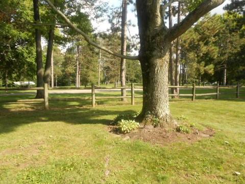20372 Catherine Blvd, Circleville, OH 43113 photo 22