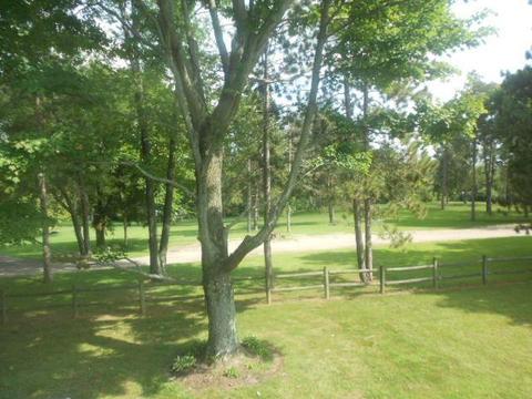 20372 Catherine Blvd, Circleville, OH 43113 photo 14