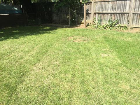 1332 Moler Rd, Columbus, OH 43207 photo 5