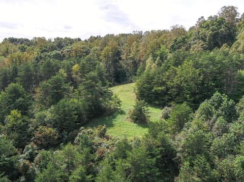 9947 Larimer Rd, Logan, OH 43138 photo 55