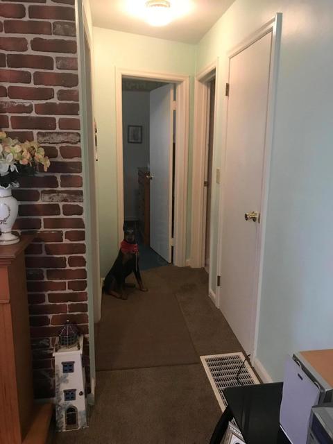 690 Lincoln Ave, Circleville, OH 43113 photo 9