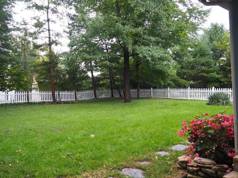 59 E Case Ave, Powell, OH 43065 photo 10