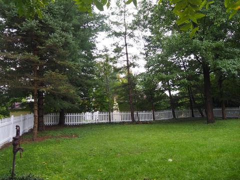 59 E Case Ave, Powell, OH 43065 photo 9
