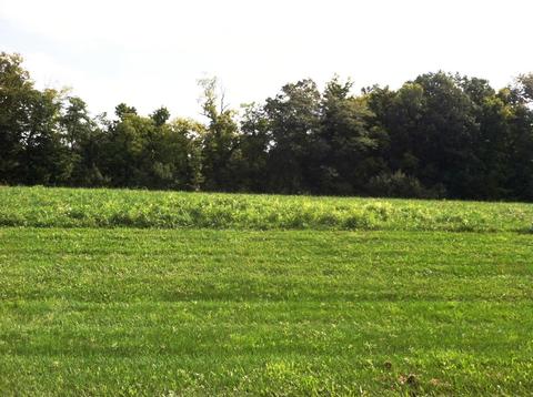6893 Harriott Rd, Powell, OH 43065 photo 1