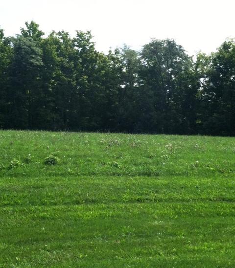 6897 Harriott Rd, Powell, OH 43065 photo 1
