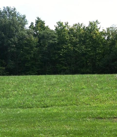 6905 Harriott Rd, Powell, OH 43065 photo 1