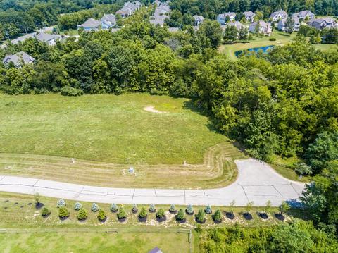 6905 Harriott Rd, Powell, OH 43065 photo 4