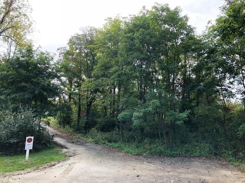 6909 Harriott Rd, Powell, OH 43065 photo 7