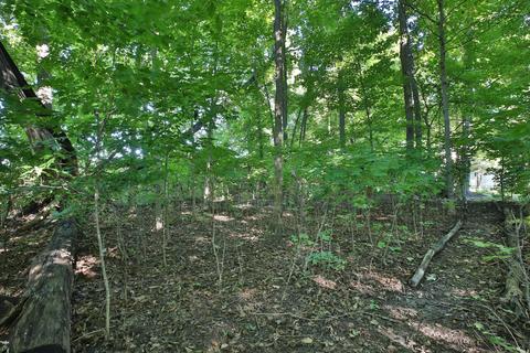 141 Beech Ct, Delaware, OH 43015 photo 41