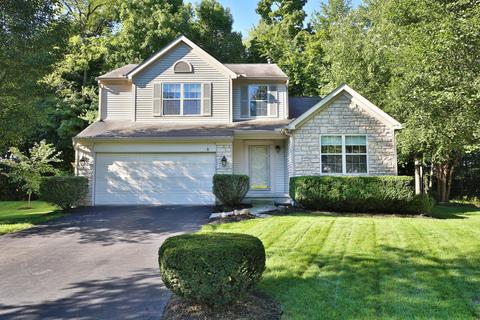 141 Beech Ct, Delaware, OH 43015 photo 1