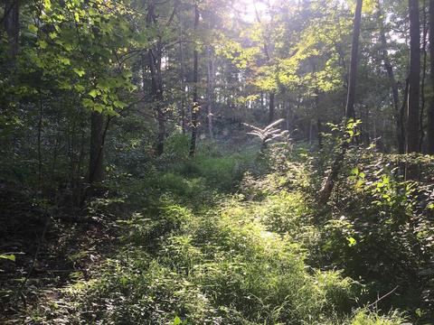 72467 Bunker Hill Rd, Mcarthur, OH 45651 photo 15