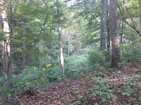 72467 Bunker Hill Rd, Mcarthur, OH 45651 photo 34