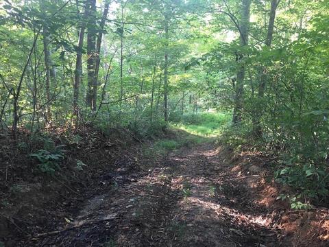 72467 Bunker Hill Rd, Mcarthur, OH 45651 photo 13