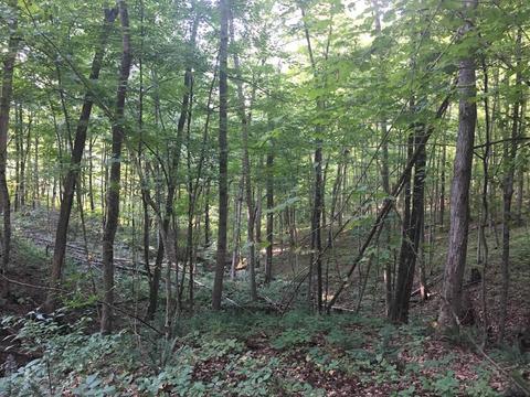 72467 Bunker Hill Rd, Mcarthur, OH 45651 photo 22