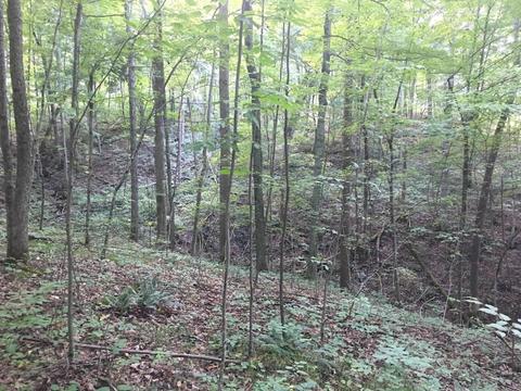 72467 Bunker Hill Rd, Mcarthur, OH 45651 photo 27