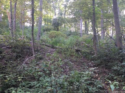 72467 Bunker Hill Rd, Mcarthur, OH 45651 photo 18