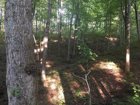 72467 Bunker Hill Rd, Mcarthur, OH 45651 photo 21